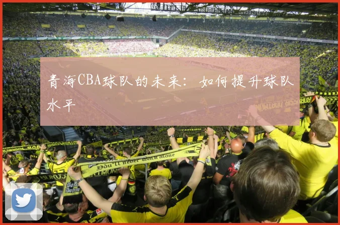 青海CBA球队的未来：如何提升球队水平